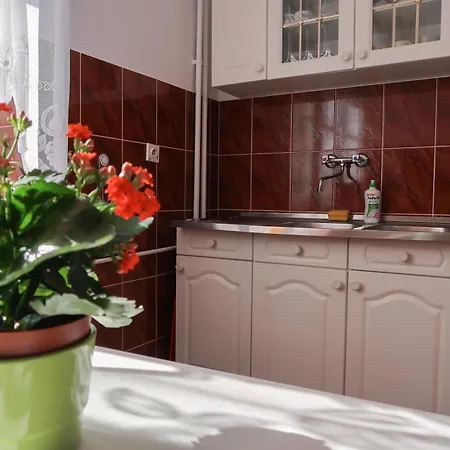 Dom Studencki Labirynt 호스텔