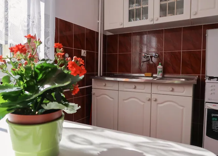 Dom Studencki Labirynt Хостел