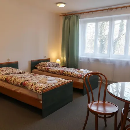 Dom Studencki Labirynt Vandrarhem