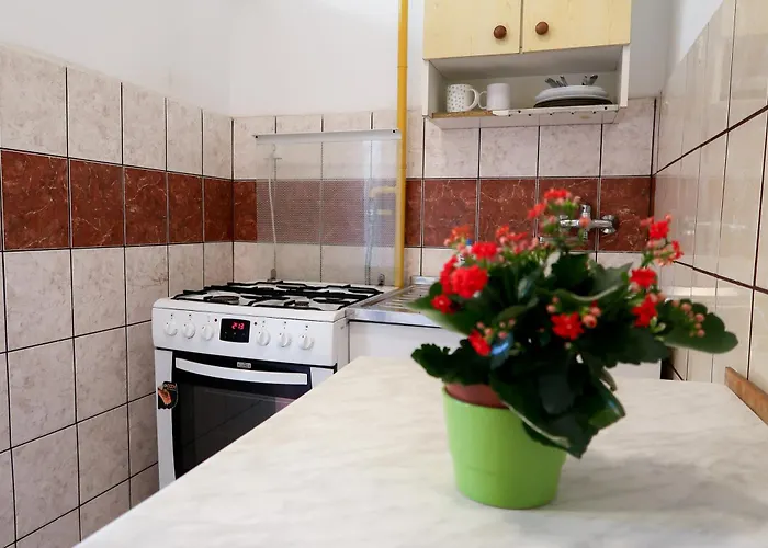 Dom Studencki Labirynt Vandrarhem